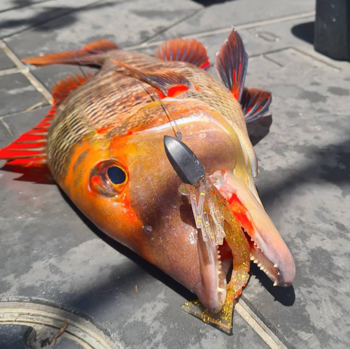 7/0 Jig-Heads 42g (1.5oz) - 5 pack (soc)