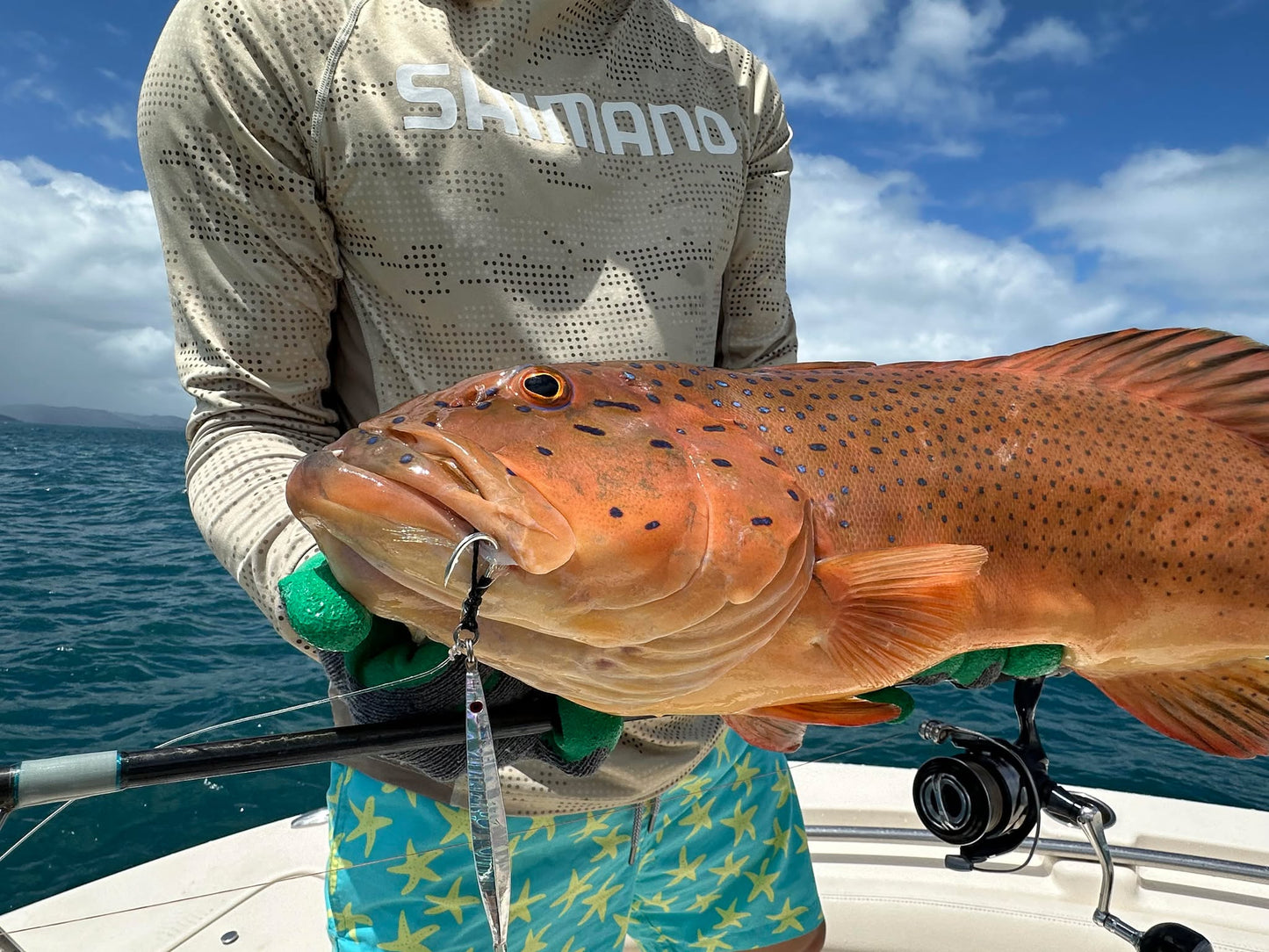 Expedition Reef Box - The Everything Box