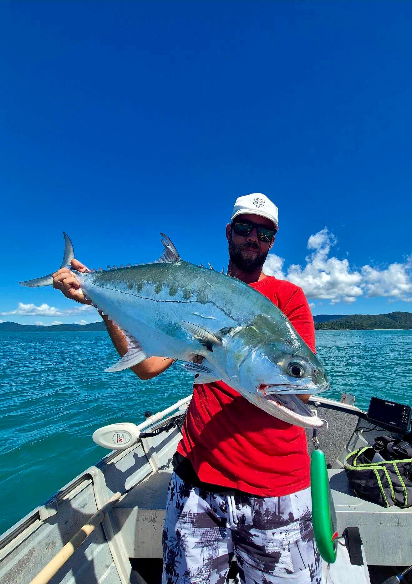 The Wiggle - Sinking Stickbait - Chrome Tiger