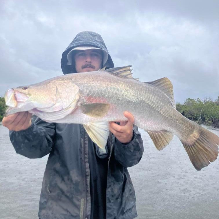 Anzuelos Weedless con peso - 1/8oz x 4 paquetes