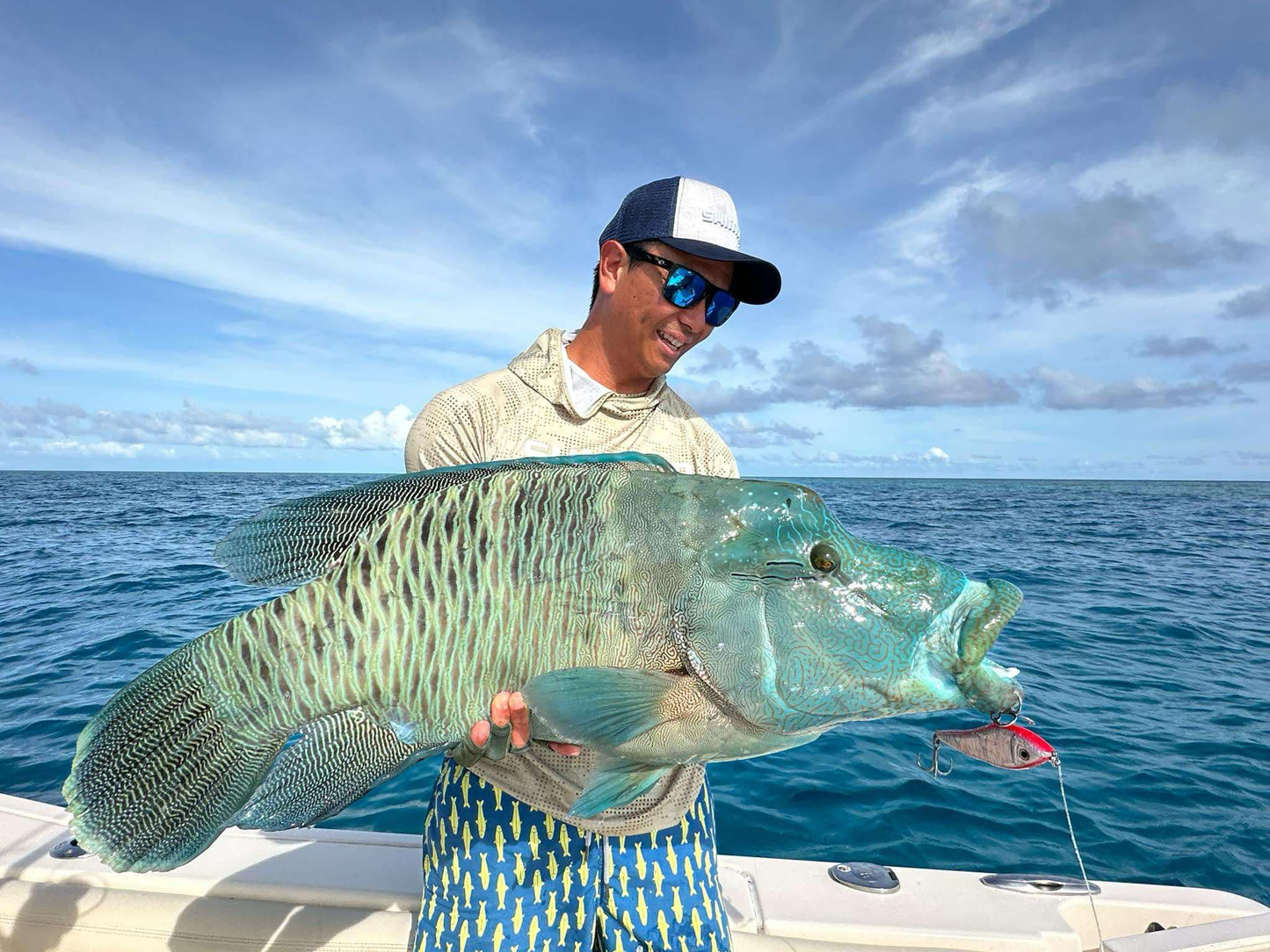 The 6-Pack - Sinking Stickbaits