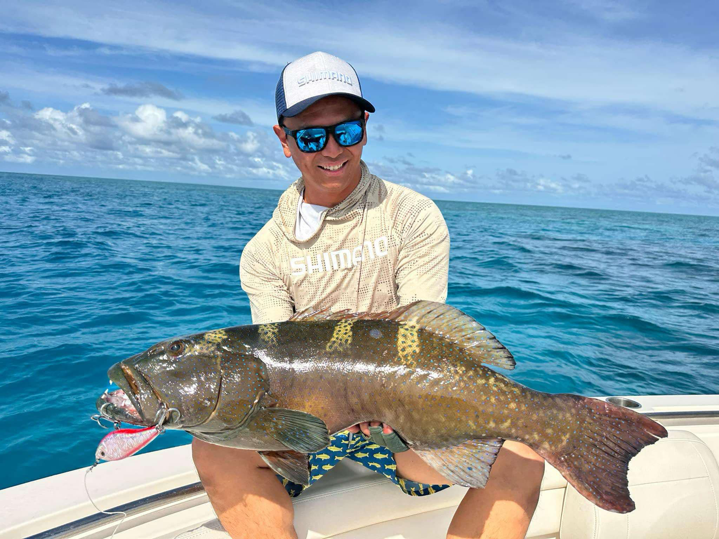 The 6-Pack - Sinking Stickbaits