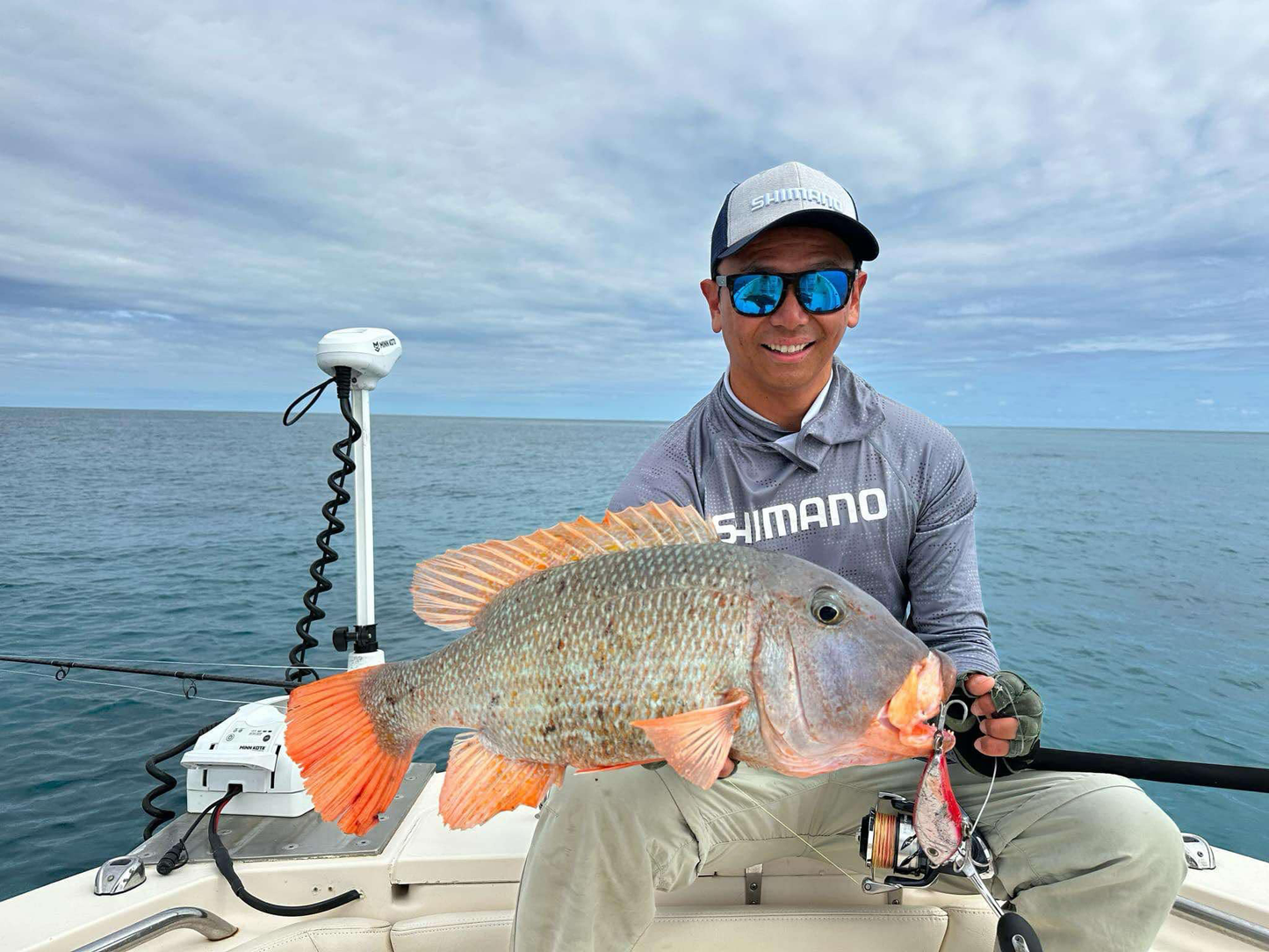 The 6-Pack - Sinking Stickbaits