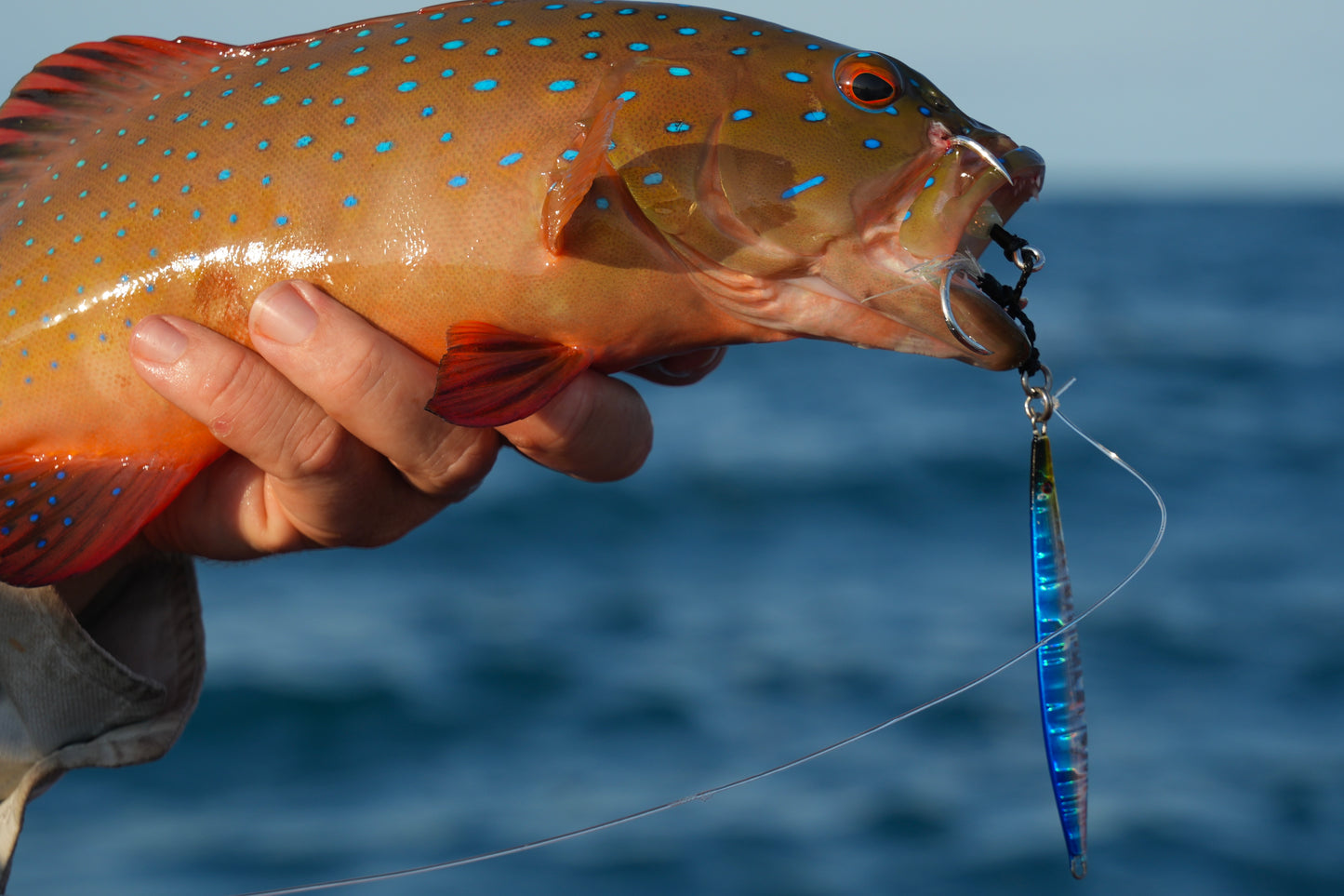 Micro Jig - Paquete SQUIRT de 4 unidades (soc)