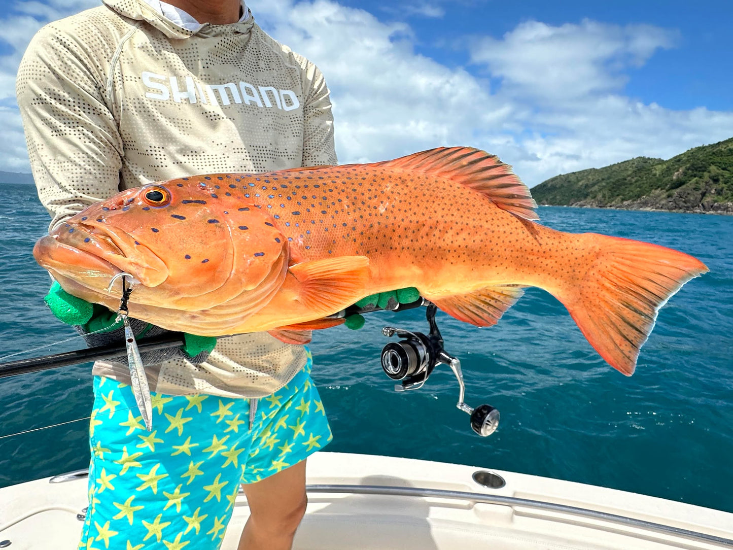 The BIGGER JIGGER Box - 18 Jig BUNDLE!!