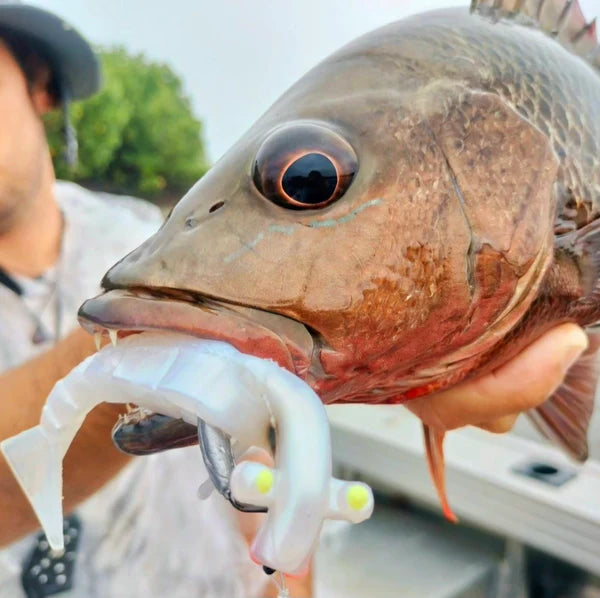 The Money Shot - Paquete de 5 gambas de plástico blando de 120 mm/4,75"