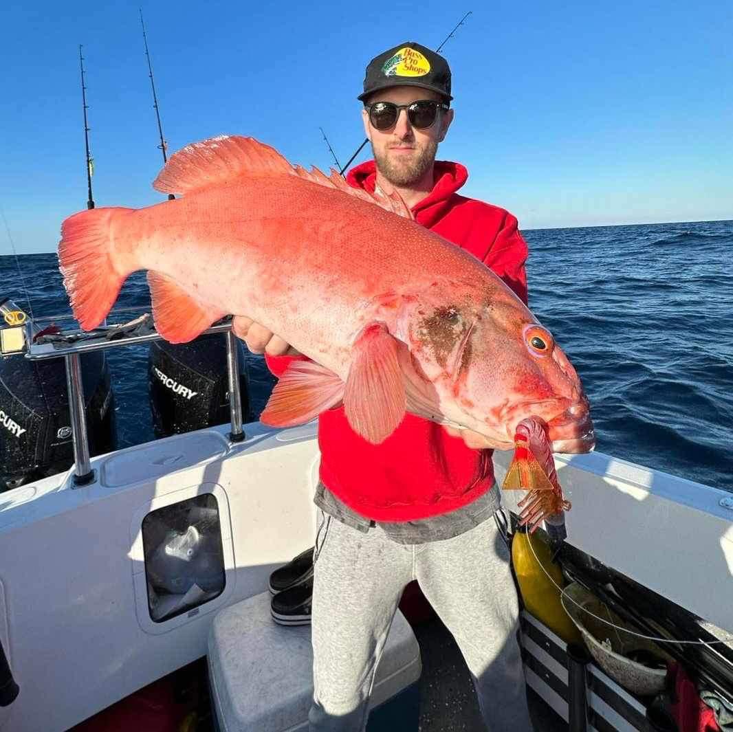 Big Head Box – Offshore Series