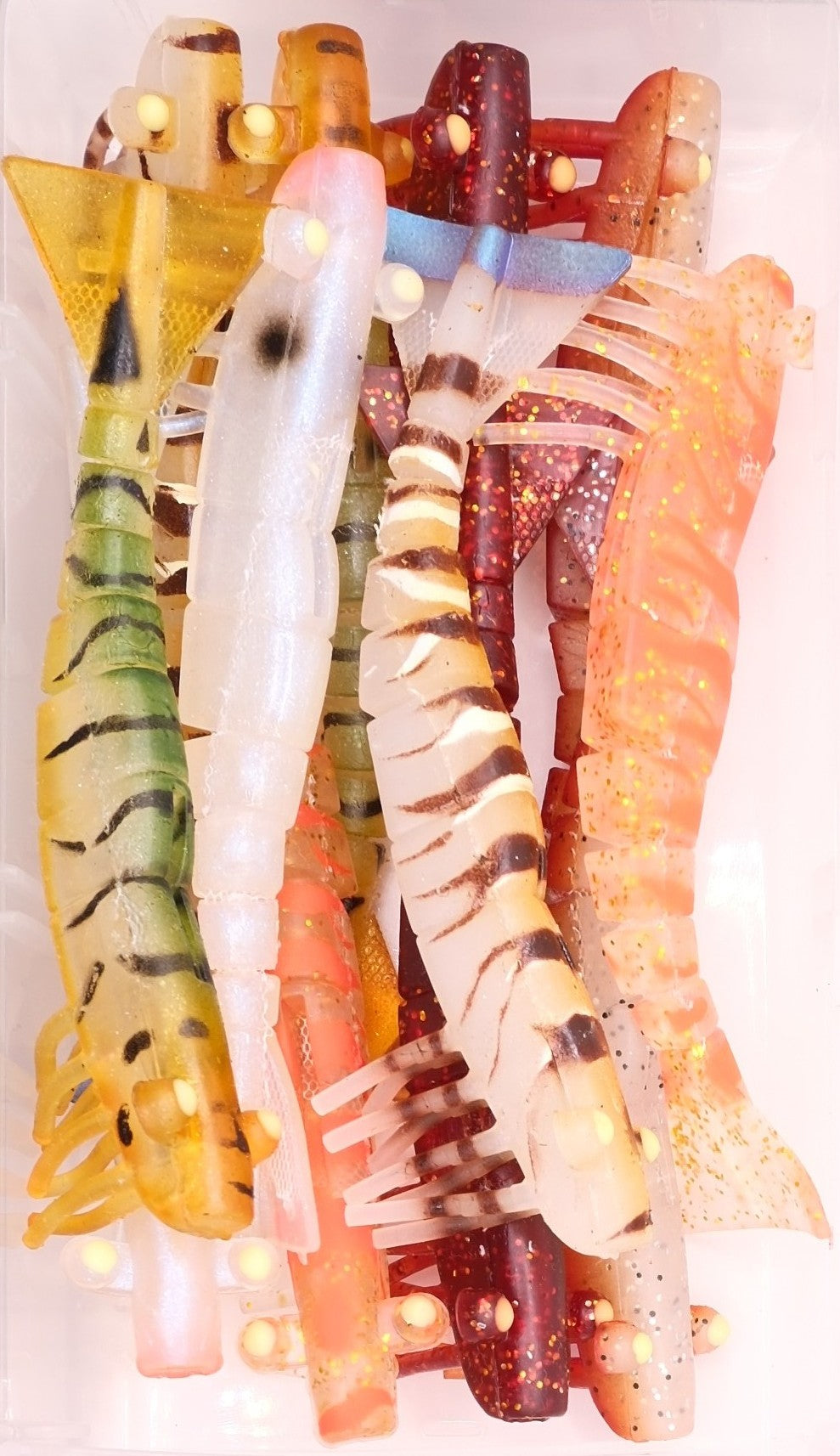 Coral Trout with Dirty Tackle Prawn