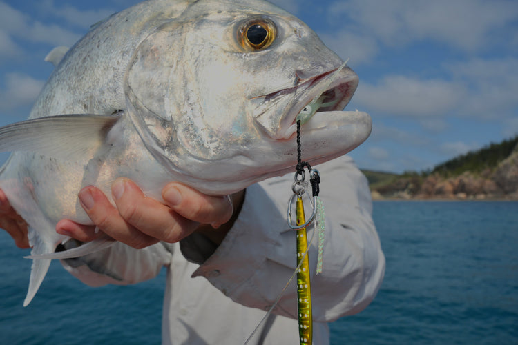 Trevally with a Micro Jig