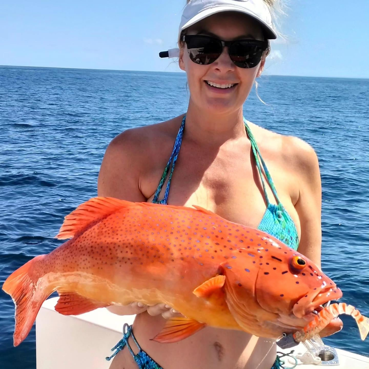 Coral Trout with Dirty Tackle Prawn