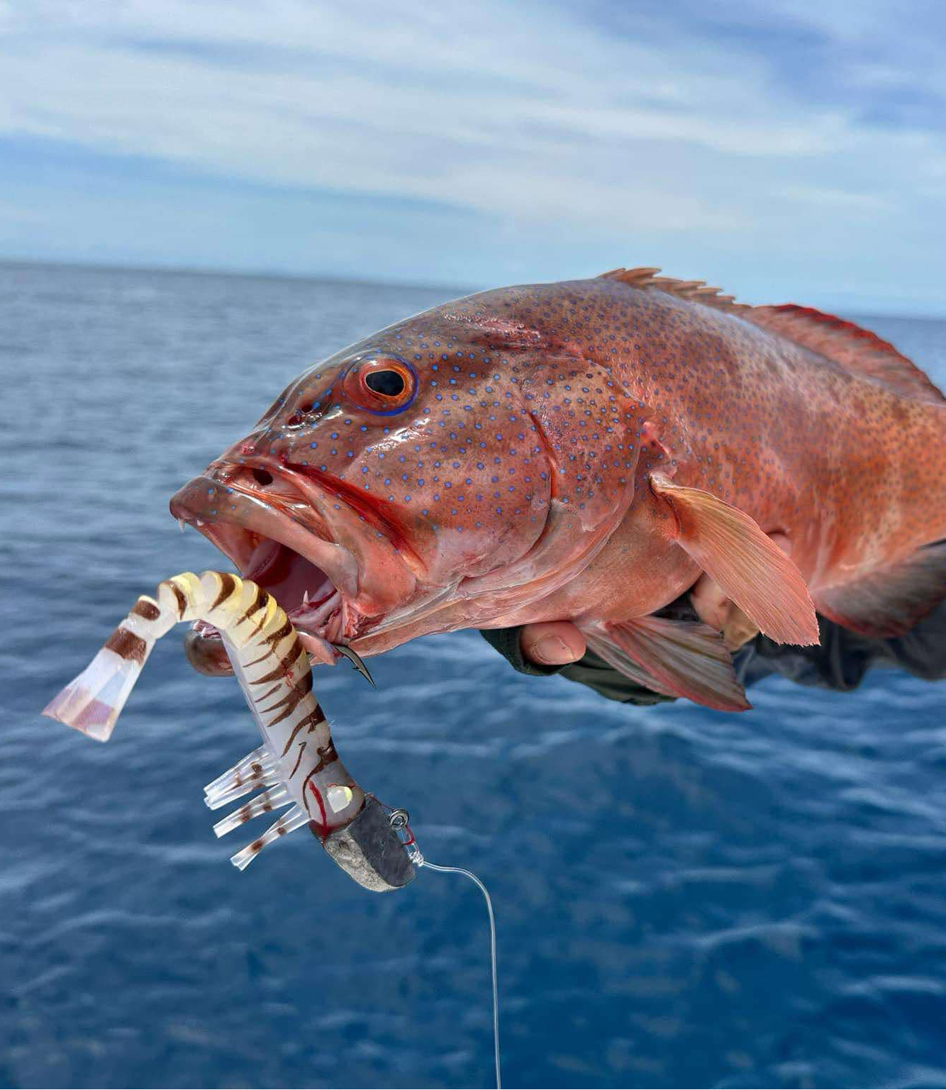 Dirty Tackle Offshore Series Jig Heads – 4 Pack