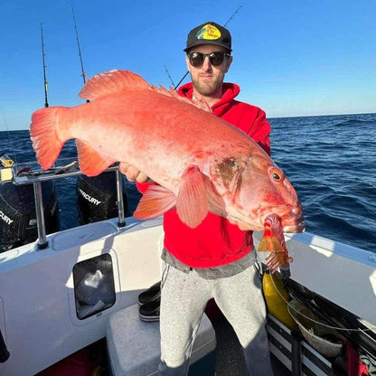 Big Head Box – Offshore Series
